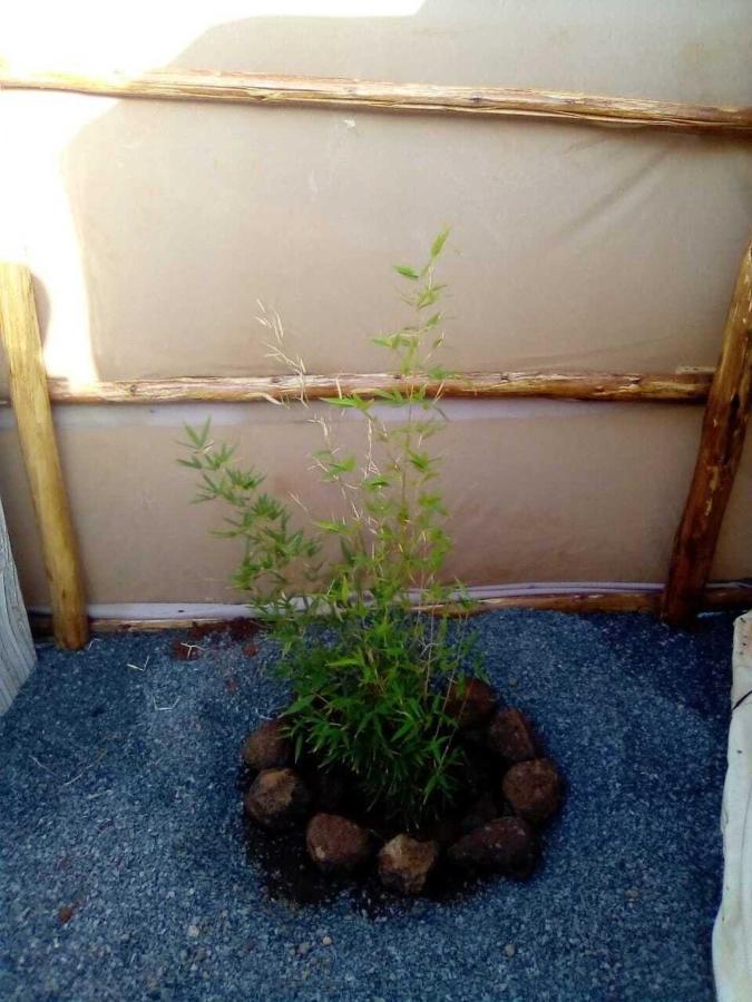 Amanya 1-Bed Leopard Tent Amboseli Dış mekan fotoğraf